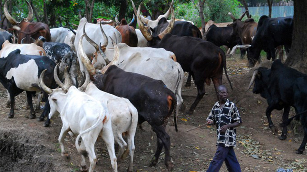 Kano, Cattle-Herdsmen, South East Governors, KWARA STATE