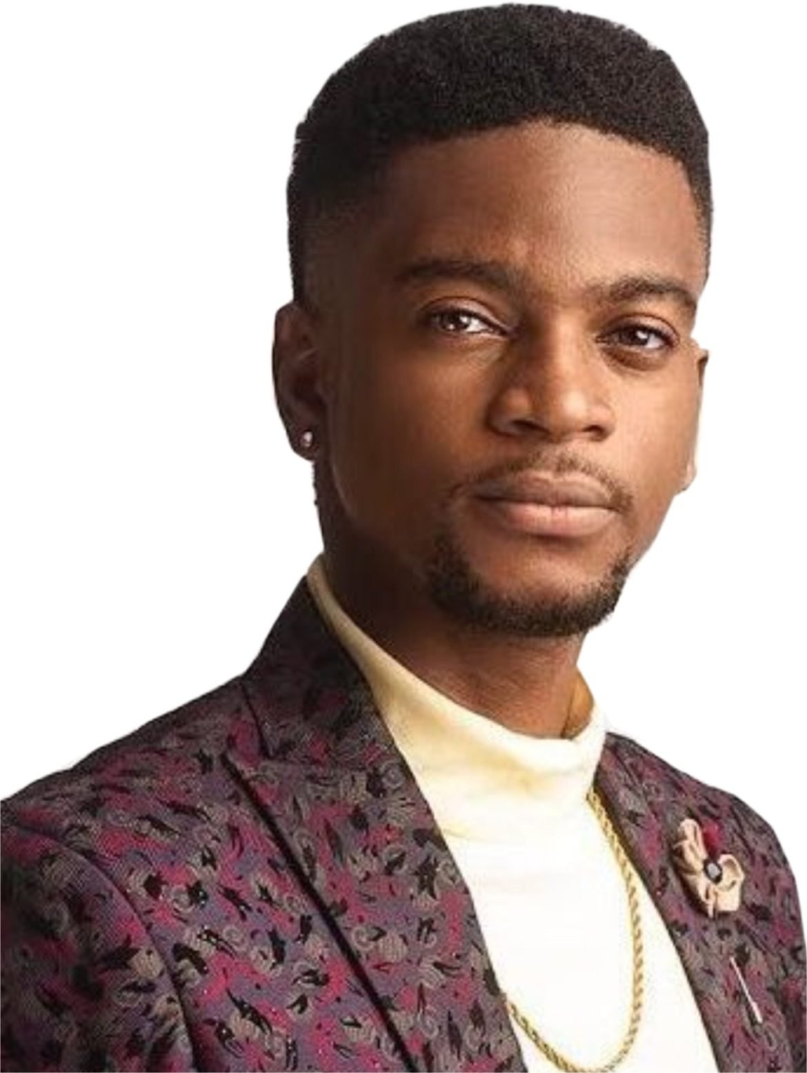 OLUMIDE OWORU, the JOHNSONS,