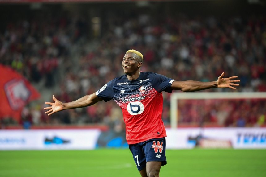 Victor Osimhen, Lille, Ligue 1,